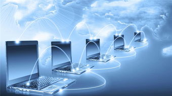 權(quán)威媒體遼寧之窗引領(lǐng)互聯(lián)網(wǎng)銷售新風(fēng)尚